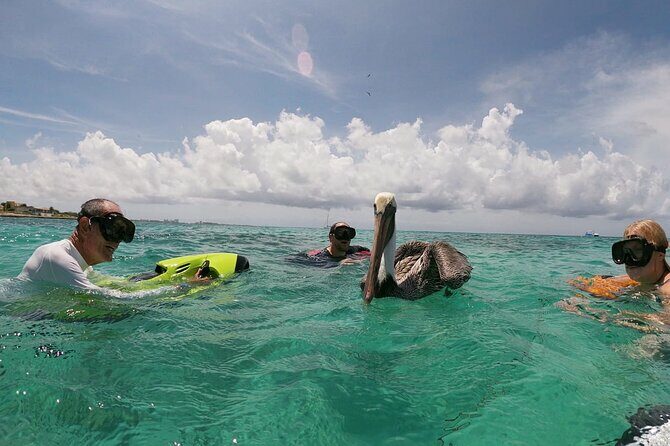Antilla Shipwreck Seabob Tour - The Sum Up: Who Will Love This Tour?