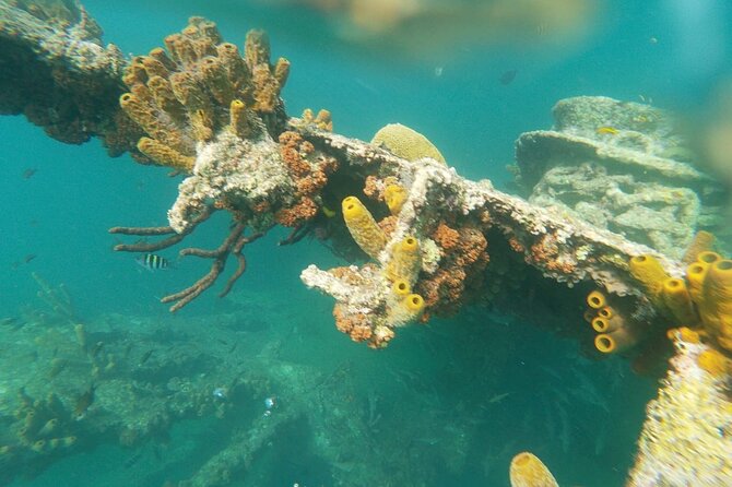Antilla Shipwreck Seabob Tour - Tour Overview and Features