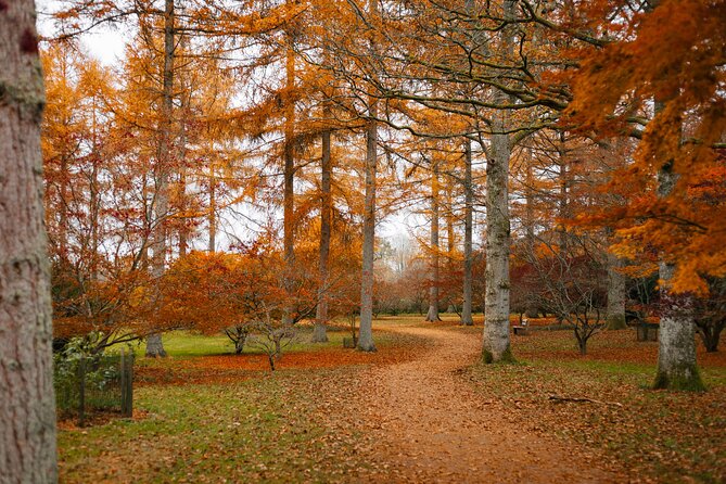 Antiques, Cotswolds & Autumnal Colours - Natures Autumnal Palette