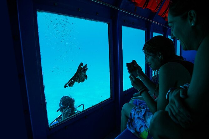 Antisamos Bay: Yellow Submarine Adventures - Confirmation and Participation