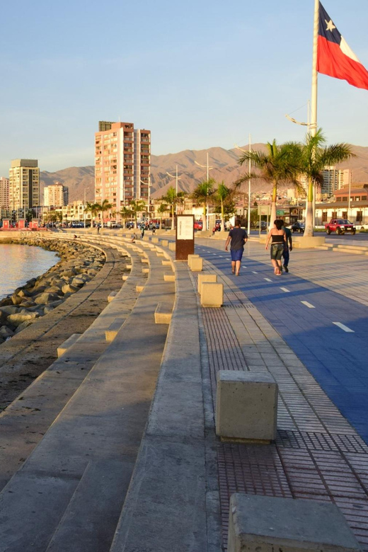Antofagasta and Hand of the Desert: Chile - Key Points