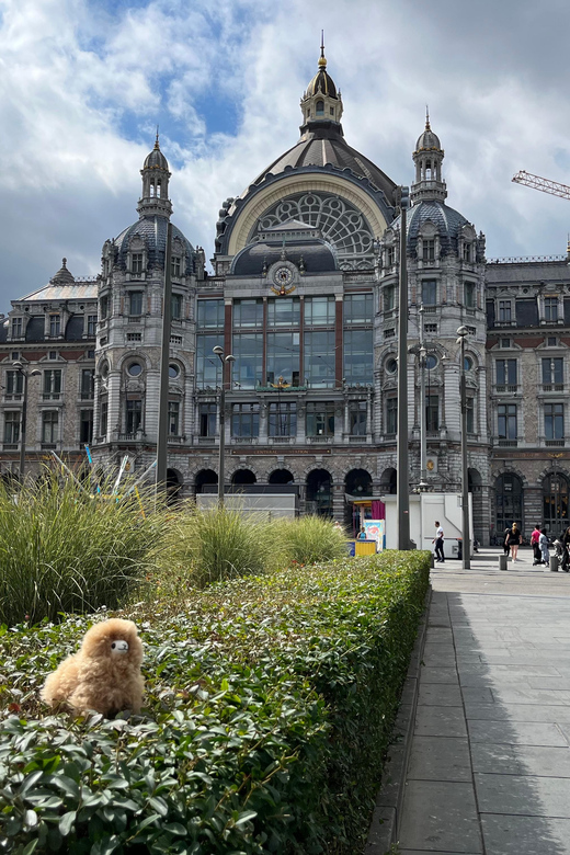 Antwerp Walking and Tasting Tour - Grote Markt and City Hall