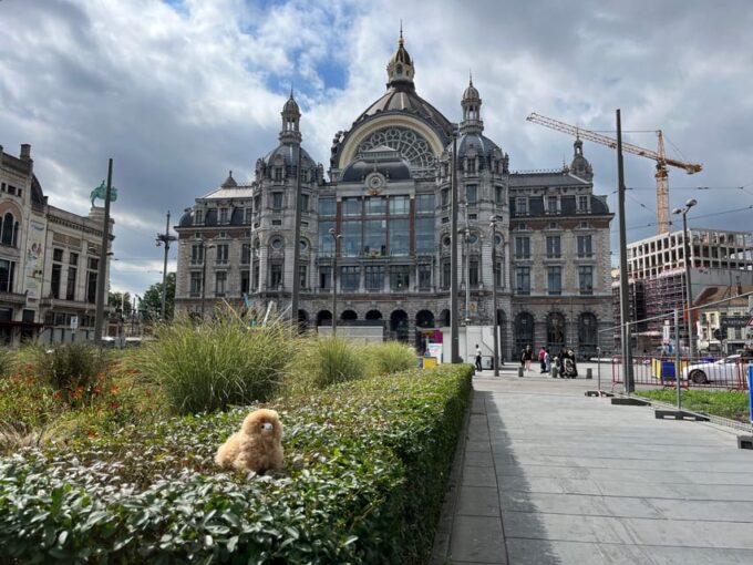 Antwerp Walking and Tasting Tour - Exclusions