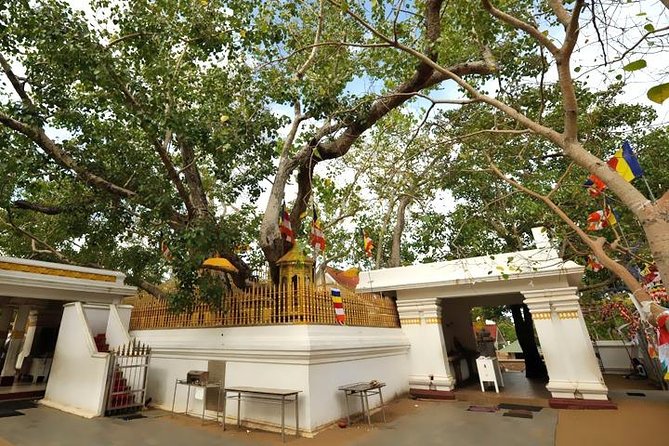 Anuradhapura Ancient City Tuk Tuk Tour - Key Attractions