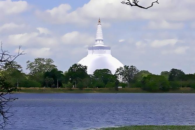 Anuradhapura Ancient City Tuk Tuk Tour - Customer Feedback