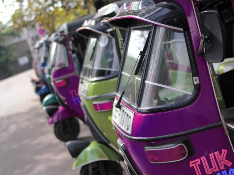 Anuradhapura : Ancient City TukTuk Tour - Tour Features