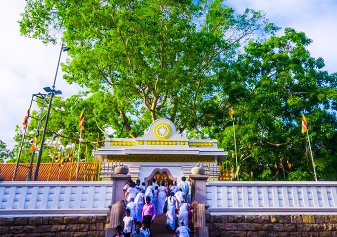 Anuradhapura: Archaeological Site Guided Tuk-Tuk Tour - Guided Experience and Additional Notes