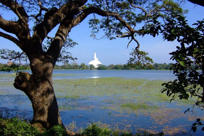 Anuradhapura Private Day Trip From Colombo, Negombo, Or Katunayaka - Good To Know