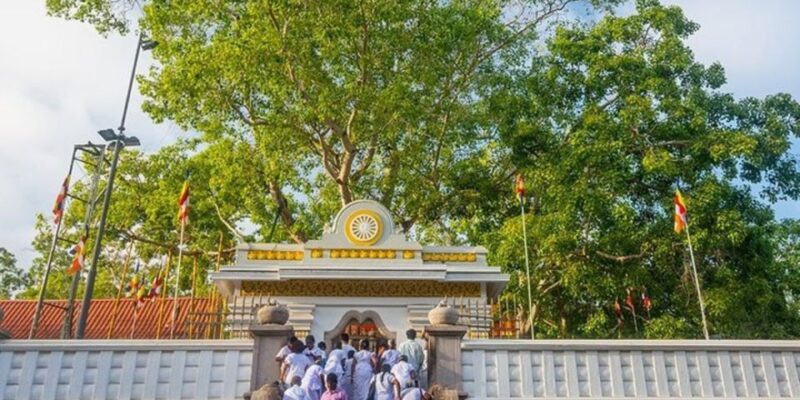 Anuradhapura Unveiled: Exclusive Private Day Tour - Pickup and Drop-off Locations