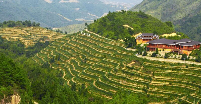Anxi Tea Garden and Hong'En Rock From Xiamen - Historical Context