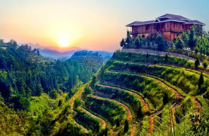 Anxi Tea Garden and Hong'En Rock From Xiamen - Itinerary Highlights