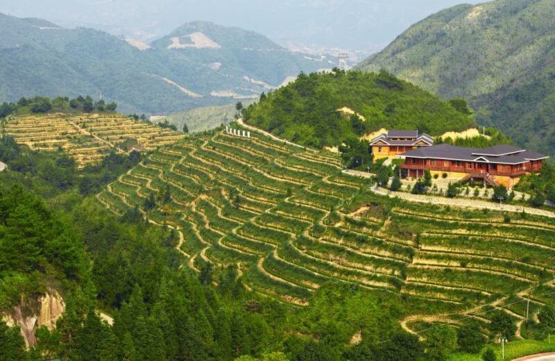 Anxi Tea Garden and Hong'En Rock From Xiamen - Inclusions and Logistics