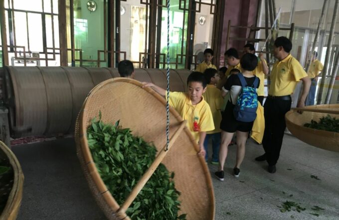Anxi Tea Garden and Hong'En Rock From Xiamen - Discovering Hongen Rock