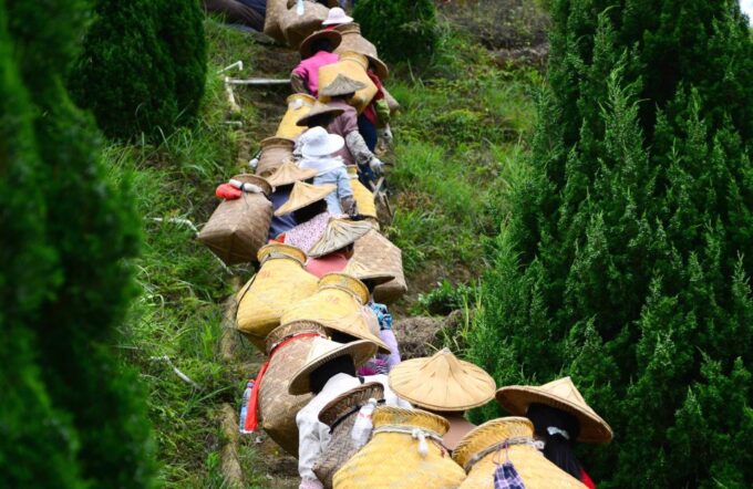Anxi Tea Garden and Hong'En Rock From Xiamen - Frequently Asked Questions