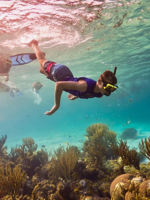 Ao Nang: 4 Islands Day Tour by Speedboat or Longtail Boat - Frequently Asked Questions