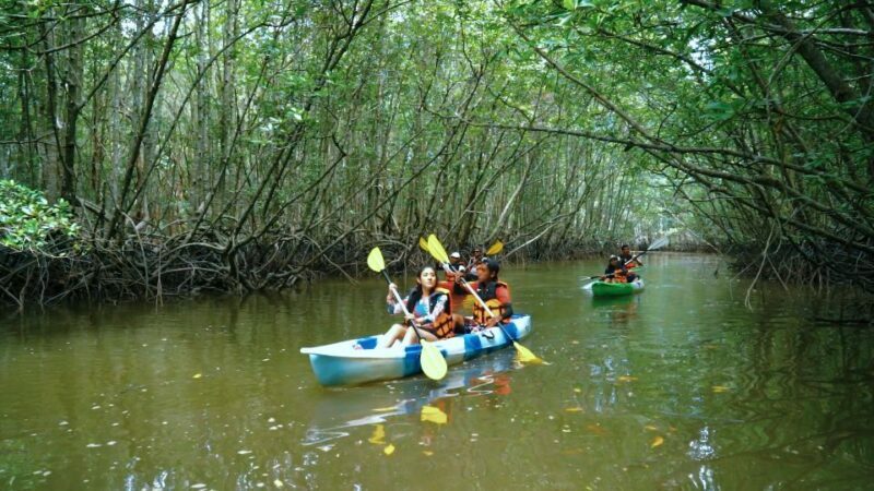Ao Nang: Kayak Tour in Krabi Mangrove Forest with Lunch - Itinerary Breakdown: What You Can Expect