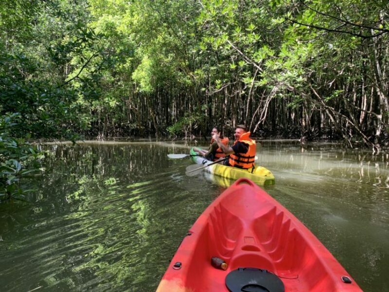 Ao Nang: Kayak Tour in Krabi Mangrove Forest with Lunch - Practical Details: Value, Group Size, and Accessibility