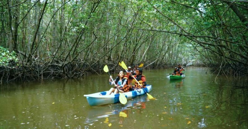 Ao Nang: Kayak Tour in Krabi Mangrove Forest with Lunch - The Sum Up