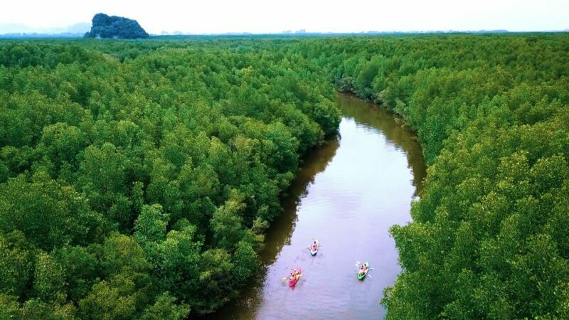 Ao Nang: Kayak Tour in Krabi Mangrove Forest with Lunch - FAQ