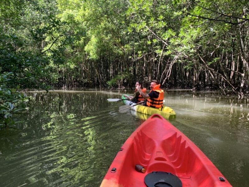Ao Nang: Kayak Tour in Krabi Mangrove Forest With Lunch - Activity Details