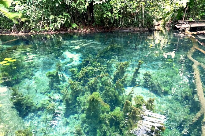 Ao Nang Kayaking at Klong Rud - Pricing and Inclusions