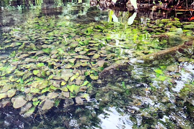 Ao Nang Kayaking at Klong Rud - Customer Feedback and Ratings