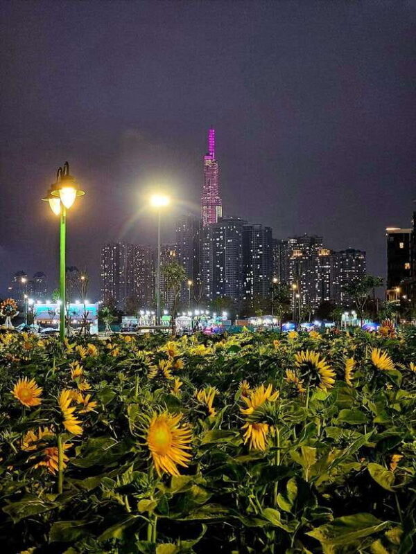 AO Show Lune Production, Buffet Dinner & Night City Tour - Tour Inclusions