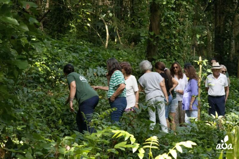 AOA Polynesian Forests - Tahiti Biodiversity Sanctuary Hike - Key Points
