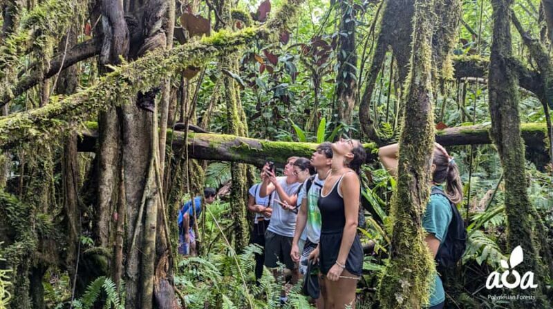AOA Polynesian Forests - Tahiti Biodiversity Sanctuary Hike - Who Will Enjoy This Tour?
