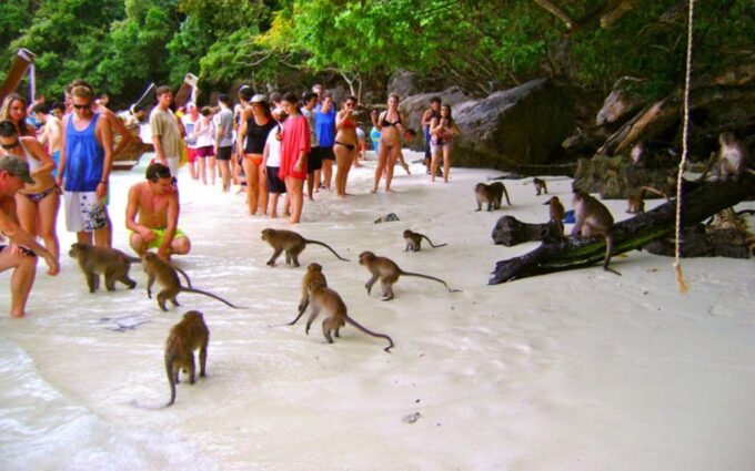 Aonang:Phi Phi Islands +Sunset 4 Islands Group by Speed Boat - Cancellation Policy