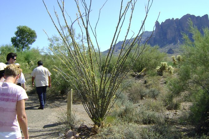Apache Trail and Dolly Steamboat Van Tour - Lunch and Cruise