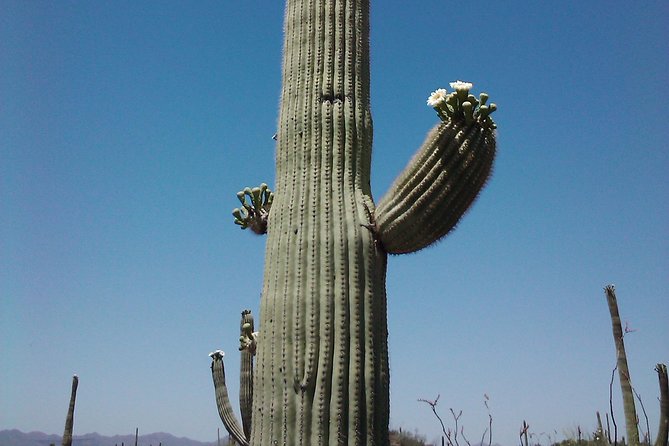 Apache Trail Day Trip Including Dolly Steamboat - Goldfield Ghost Town Exploration