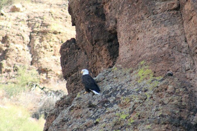 Apache Trail Day Trip Including Dolly Steamboat - Inclusions and Additional Details