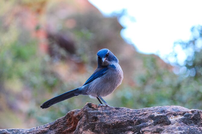 Apache Trail Private Half-Day Tour - Booking Information