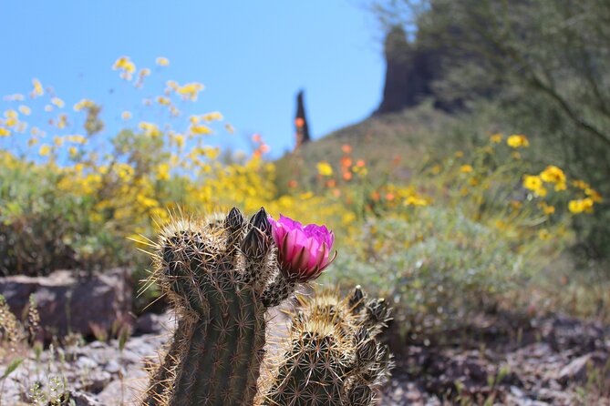 Apache Trail Private Half-Day Tour - Exploring the Superstition Mountains