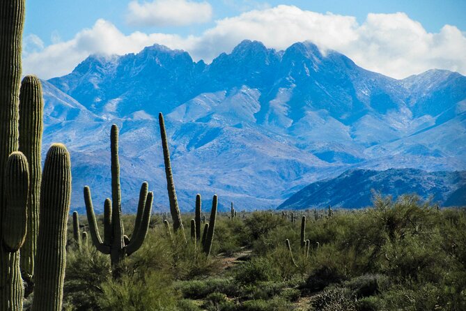 Apache Trail Private Half-Day Tour - Discovering Goldfield Ghost Town