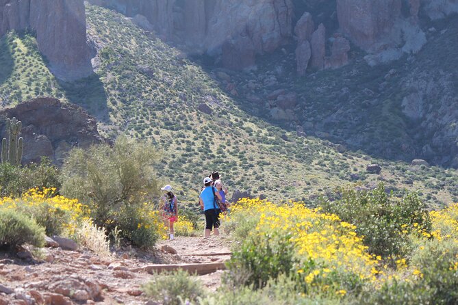 Apache Trail Private Half-Day Tour - Taking in Apache Culture