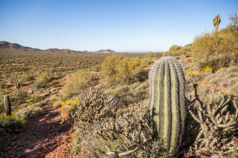 Apache Trail Tour and Lake Cruise: From Phoenix / Scottsdale - Itinerary Highlights