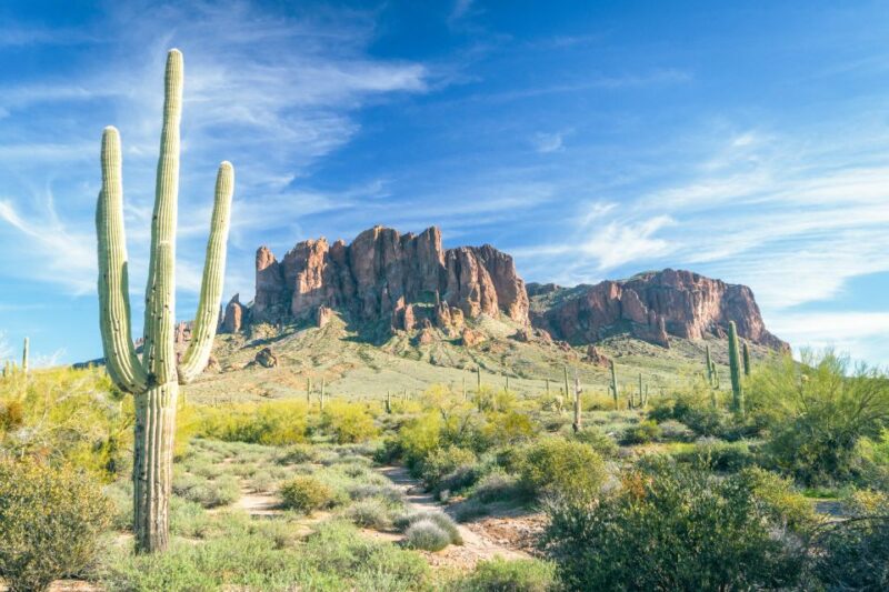 Apache Trail Tour and Lake Cruise: From Phoenix / Scottsdale - Customer Reviews