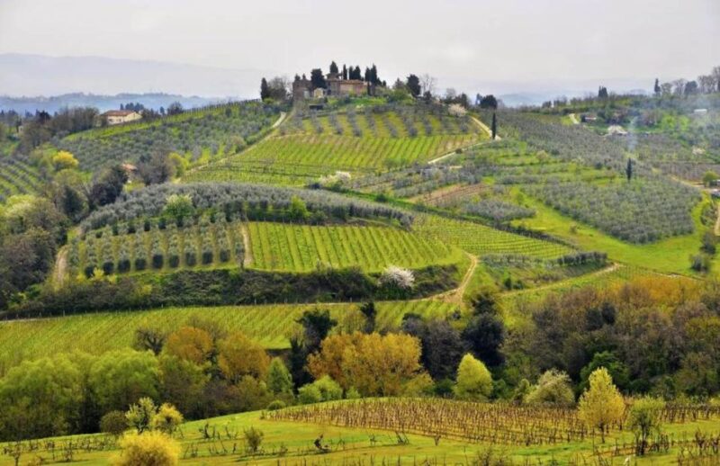 Ape Calessino Tour From Siena - Important Information