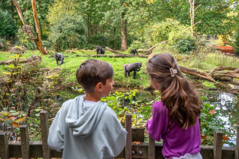 Apeldoorn: Apenheul Zoo Entry Ticket - Customer Ratings and Feedback