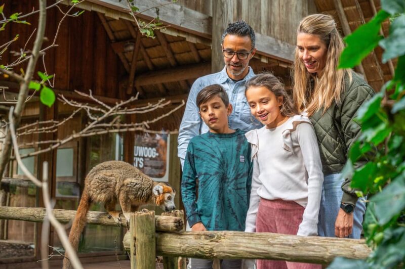 Apeldoorn: Apenheul Zoo Entry Ticket - Highlights for Different Visitors