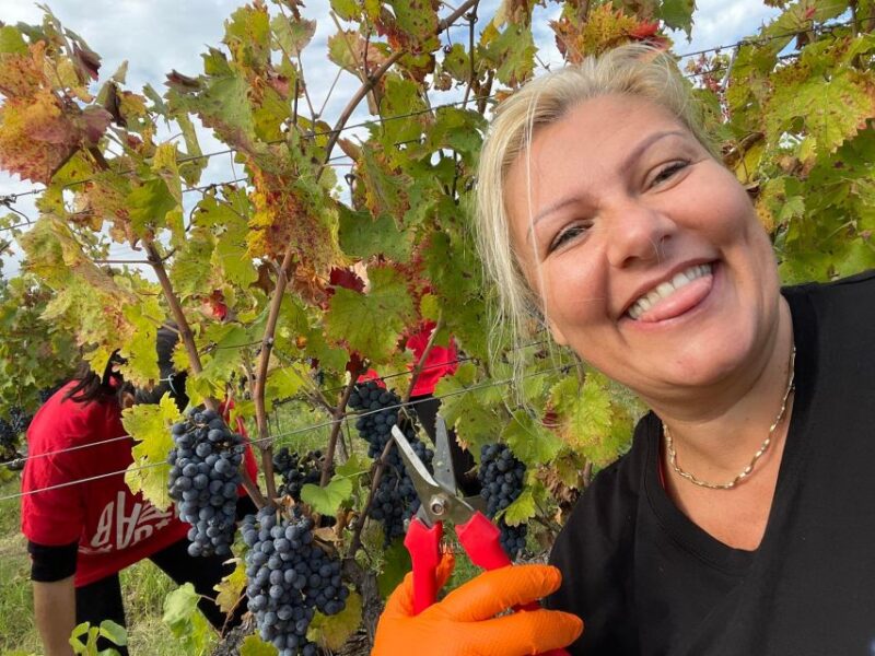 Aperitif in the Vineyard - Culinary and Wine Experience