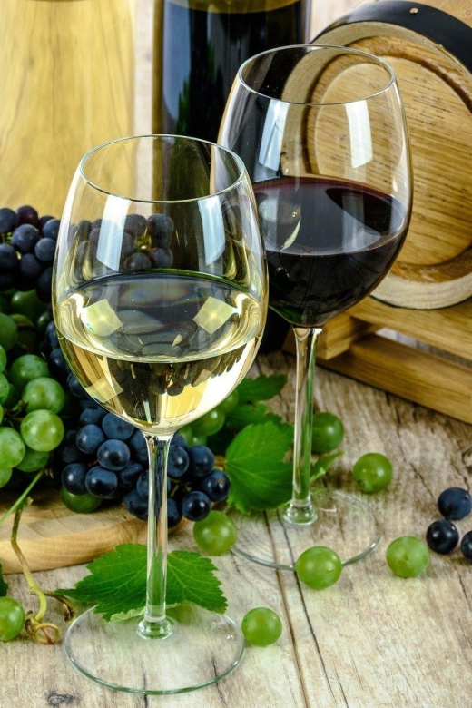 Aperitive Guided Cruise 'Wine and Canelé' - Features