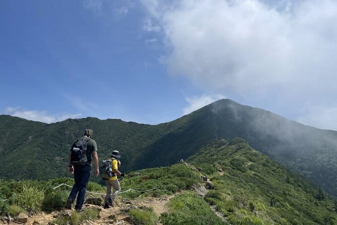 Apoi-Dake Private Hiking With Guided Commentary - Meeting and End Points