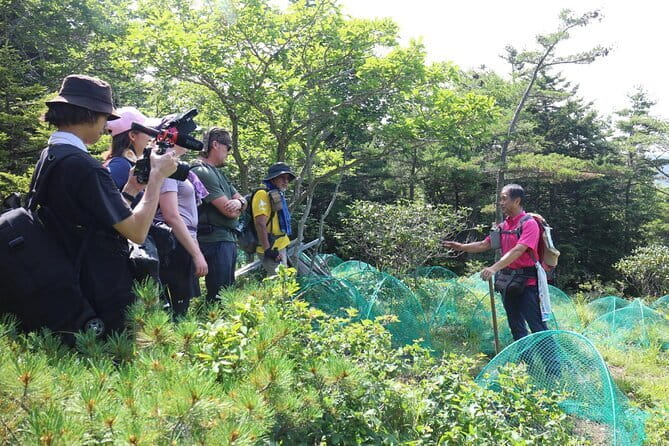 Apoi-Dake Private Hiking With Guided Commentary - Tips for a Successful Apoi-Dake Hike