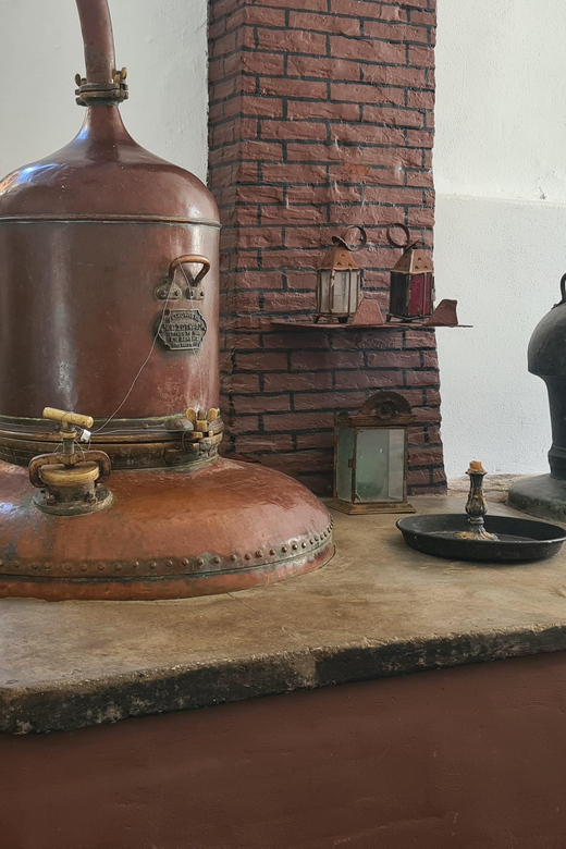 Apollo: Full Day Naxos Tour - Experience and Itinerary