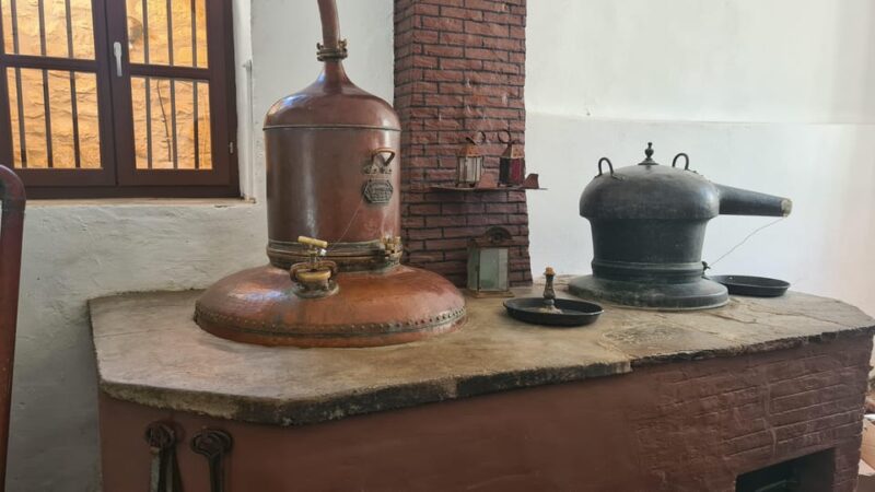 Apollo: Full Day Naxos Tour - Customer Feedback