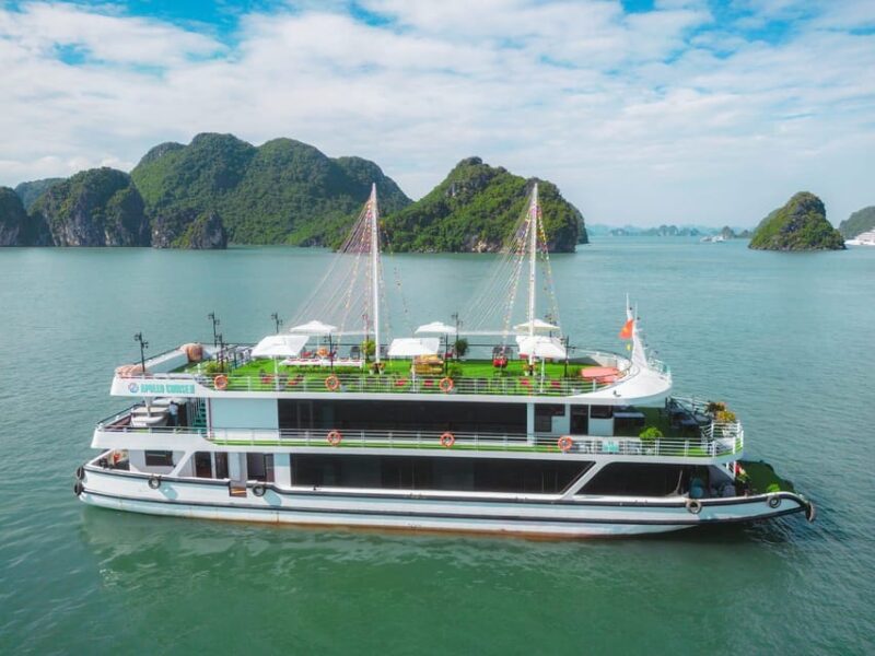 Apollo Luxury 5 Star Cruise Halong Bay One Day Tour - Key Points