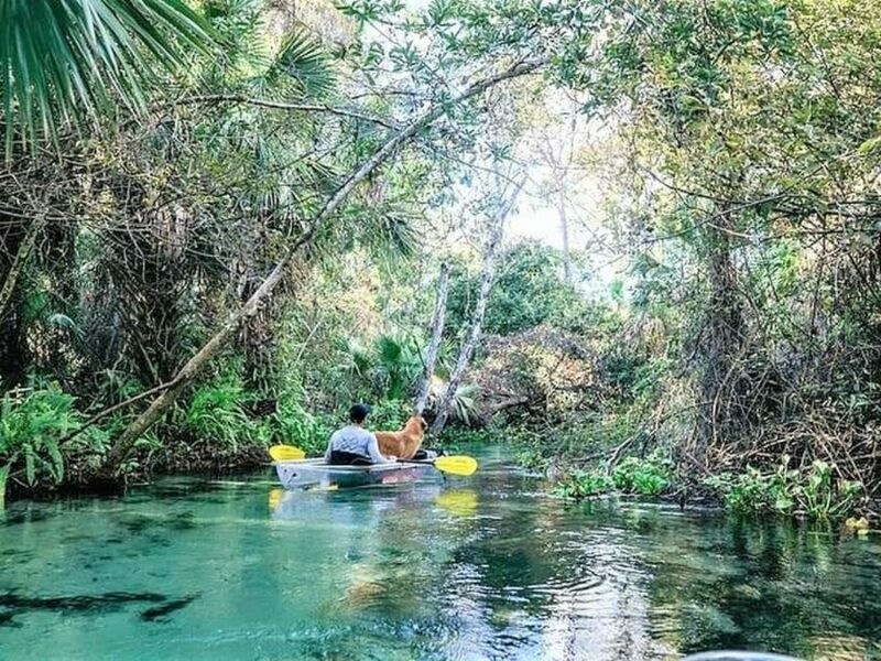 Apopka: Rock Springs Clear Kayak Tour - Exploring the Itinerary